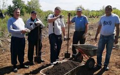 Общество «Триумф» активно занимается озеленением поселка Переволоцкого