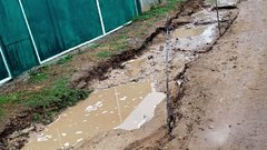 Кошмар на улице Пушкина в Переволоцком, или Поле чудес в стране Дураков