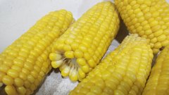 Роспотребнадзор: кукуруза с возбудителем ботулизма может оказаться в магазинах