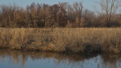 В Переволоцком на протяжении 7-ми км будет расчищено русло реки Самары