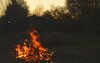 С начала года в Оренбуржье произошло 29 лесных пожаров, большинство - из-за человека